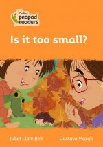 Level 4 - Is it too small?