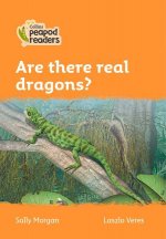 Level 4 - Are there real dragons?