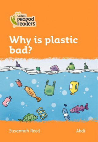 Level 4 - Why is plastic bad?