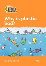 Level 4 - Why is plastic bad?