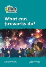 Level 3 - What can fireworks do?