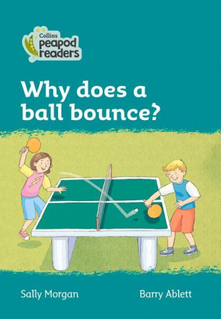 Level 3 - Why does a ball bounce?