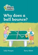 Level 3 - Why does a ball bounce?
