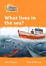 Level 4 - What lives in the sea?