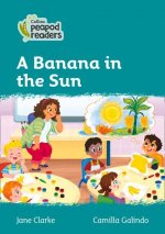 Level 3 - A Banana in the Sun