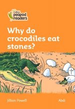 Level 4 - Why do crocodiles eat stones?