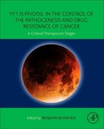 YY1 in the Control of the Pathogenesis and Drug Resistance of Cancer