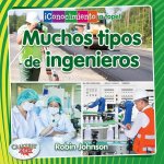 Muchos Tipos de Ingenieros (Many Kinds of Engineers)