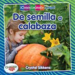 de Semilla a Calabaza (from Seed to Pumpkin)