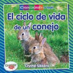 El Ciclo de Vida de Un Conejo (the Life Cycle of a Rabbit)