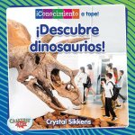 ?Descubre Dinosaurios! (Discovering Dinosaurs!)