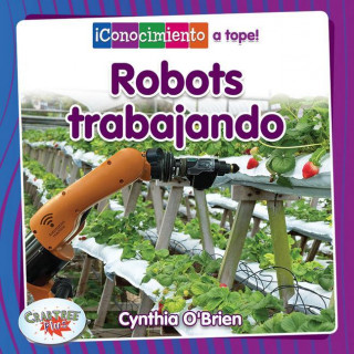 Robots Trabajando (Robots at Work)