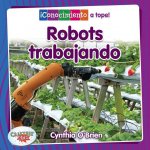 Robots Trabajando (Robots at Work)