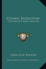 Cosmic Evolution: Outlines of Cosmic Idealism