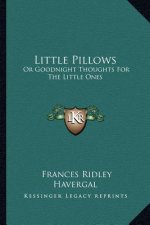 Little Pillows: Or Goodnight Thoughts for the Little Ones