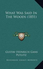 What Was Said In The Woods (1851)