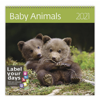 Baby Animals - nástěnný LP kalendář 2021