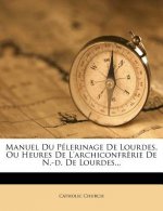 Manuel Du Pélerinage De Lourdes, Ou Heures De L'archiconfr?rie De N.-d. De Lourdes...