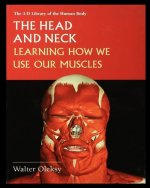 The Head and Neck: Learning How We Use Our Muscles