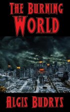 Burning World