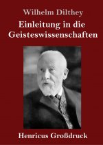 Einleitung in die Geisteswissenschaften (Grossdruck)