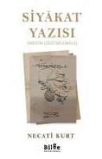 Siyakat Yazisi