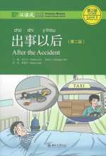 AFTER THE ACCIDENT BOOK MP3 CHINESE BREE