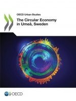 Circular Economy in Umea, Sweden