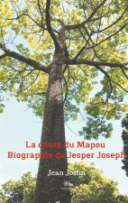 chute du Mapou - Biographie de Jesper Joseph