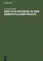 Der Zivilprozess in Der Gerichtlichen Praxis