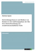 Entwicklungschancen und Risiken von Kindern in der Auflösungsphase der Ehe- bzw. Partnerbeziehung aus sozialwissenschaftlicher Sicht