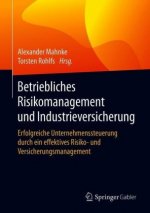 Betriebliches Risikomanagement und Industrieversicherung