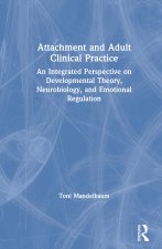 Attachment and Adult Clinical Practice