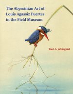 Abyssinian Art of Louis Agassiz Fuertes in the Field Museum