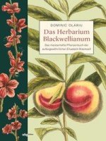 Das Herbarium Blackwellianum