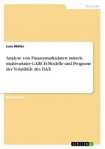 Analyse von Finanzmarktdaten mittels multivariater GARCH-Modelle und Prognose der Volatilität des DAX