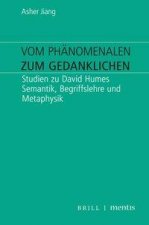 Vom Phänomenalen zum Gedanklichen