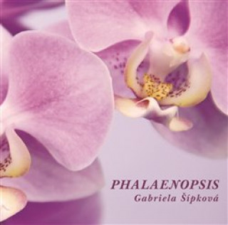 Phalaenopsis