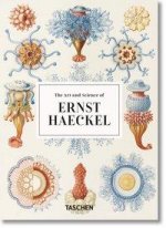 Ernst Haeckel. Kunst und Wissenschaft. 40th Ed.