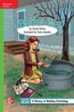 Reading Wonders Leveled Reader a Better Way: Beyond Unit 4 Week 3 Grade 4