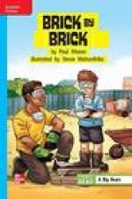 Reading Wonders Leveled Reader Brick by Brick: On-Level Unit 3 Week 2 Grade 4