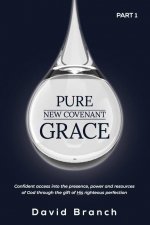 Pure New Covenant Grace: Confident access into the presence, power and resources of God through the gift of His righteous perfection