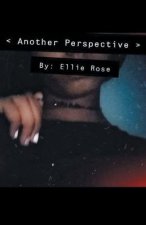 Another Perspective