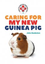 Caring for My New Guinea Pig