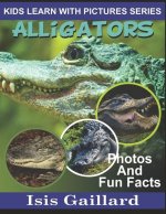 Alligators: Photos and Fun Facts for Kids