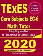 TExES Core Subjects EC-6 Math Tutor