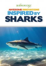 Awesome Innovations Inspired by Sharks