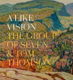 Like Vision