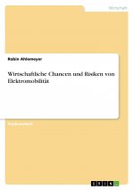 Wirtschaftliche Chancen und Risiken von Elektromobilität