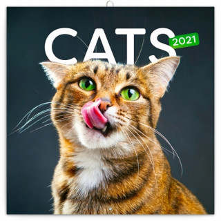 Poznámkový kalendář Kočky 2021